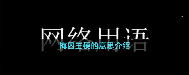 梅囚王梗的意思介绍