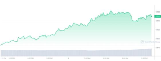 2024年初XRP(瑞波币)的价格行动彻底摧毁了空头