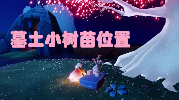 光遇墓土小树苗位置在哪？