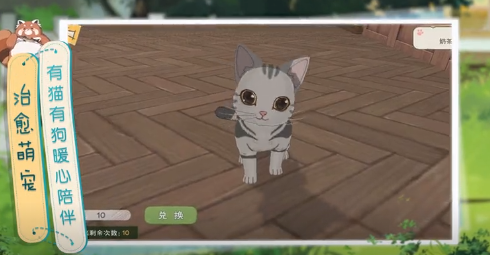 小森生活家猫在哪领养  家猫领养方法