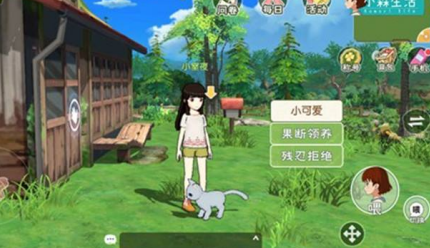小森生活家猫在哪领养  家猫领养方法