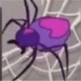 杀死蜘蛛