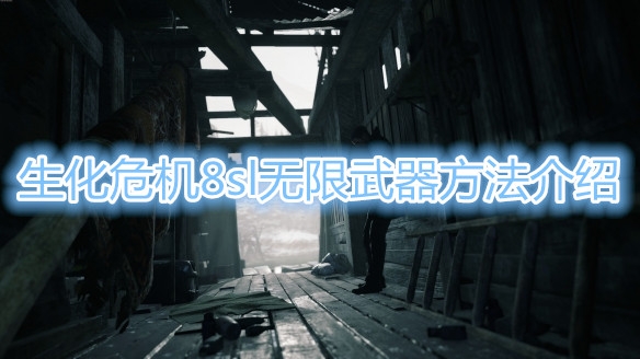 《生化危机8》sl无限武器教程