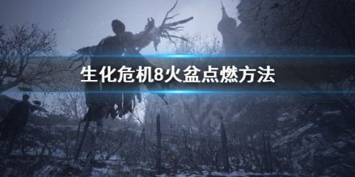 生化危机8火盆怎么点燃