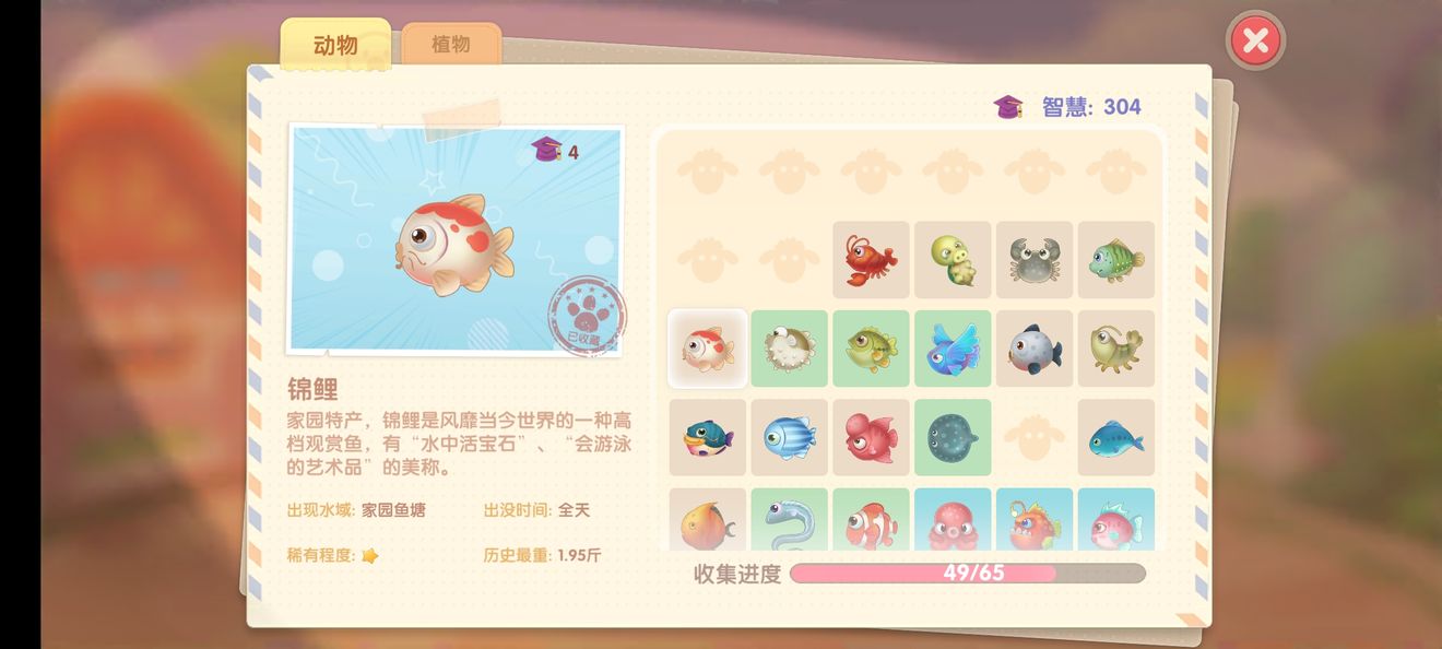 摩尔庄园锦鲤位置