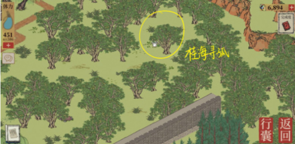 《江南百景图》桂海寻孤位置大全