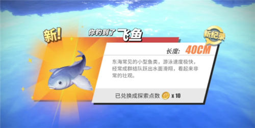 航海王热血航线钓鱼图鉴攻略大全