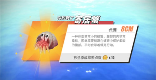 航海王热血航线钓鱼图鉴攻略大全
