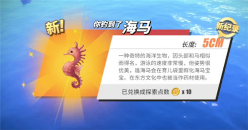 航海王热血航线钓鱼图鉴攻略大全
