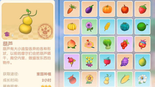 摩尔庄园手游种植葫芦种子教学攻略