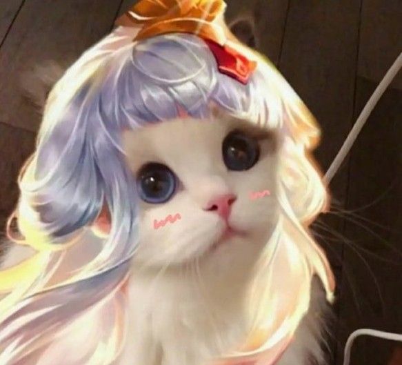 王者荣耀猫咪接头头像大全