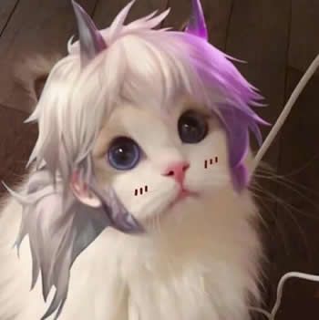 王者荣耀猫咪接头头像大全