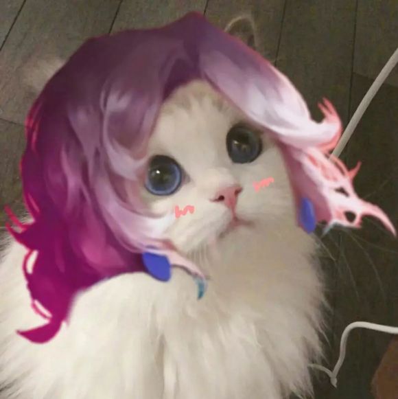 王者荣耀猫咪接头头像大全