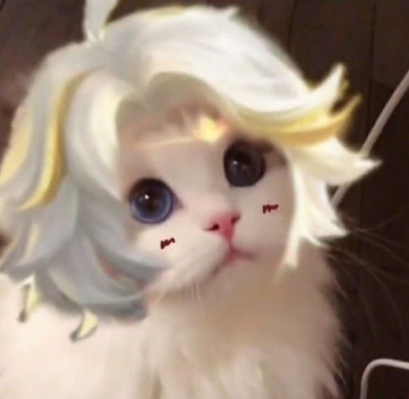 王者荣耀猫咪接头头像大全