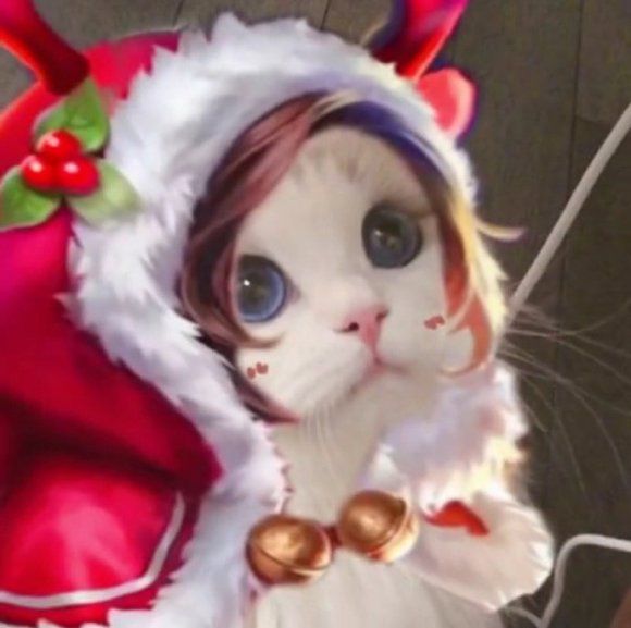 王者荣耀猫咪接头头像大全
