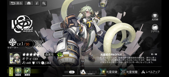 白夜极光全角色昵称汇总