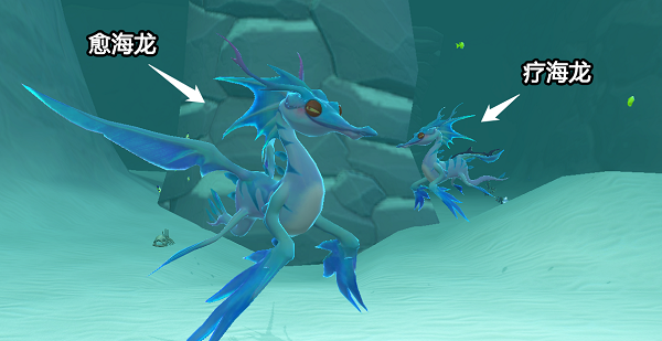 创造与魔法疗海龙和愈海龙捕捉攻略大全