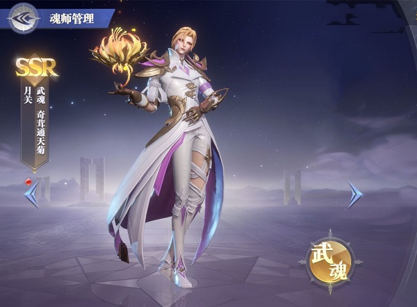 斗罗大陆魂师对决灼烧流阵容推荐攻略大全