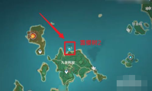 原神五颗雷樱树在哪里？原神五颗雷樱树位置