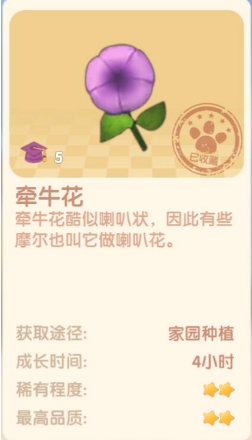 《摩尔庄园手游》牵牛花作用介绍