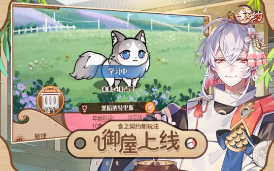 《食之契约》御屋开放萌猫到家 ！终于可以在家撸猫了