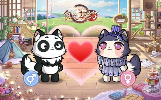 《食之契约》御屋开放萌猫到家 ！终于可以在家撸猫了