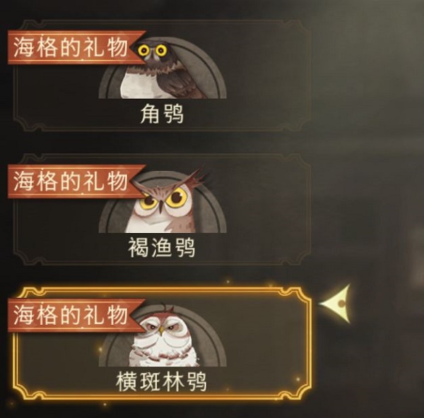 哈利波特魔法觉醒猫头鹰有什么用？