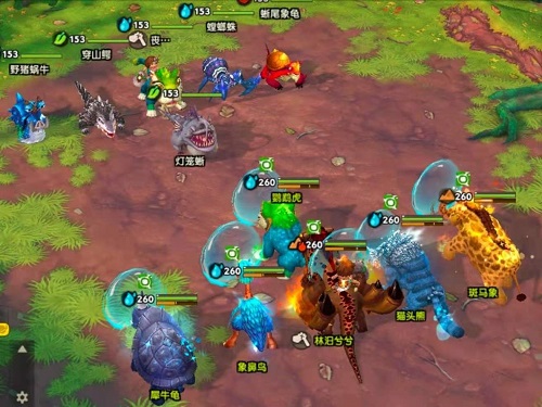 疯狂原始人2鹦鹉虎怎么搭配阵容? 疯狂原始人2鹦鹉虎怎么搭配阵容?