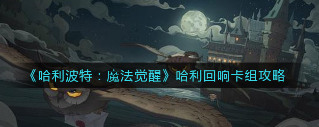 哈利波特魔法觉醒哈利回响卡组攻略