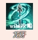 烟雨江湖云龙枪法技能介绍