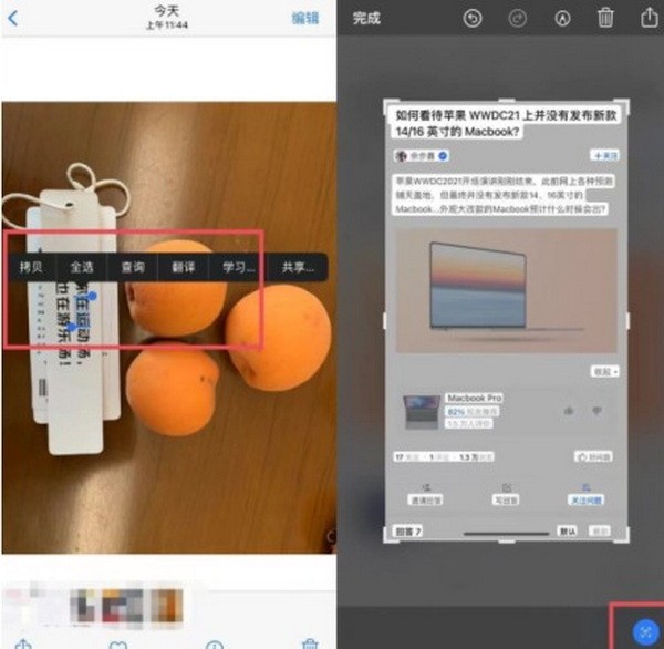 ios15新功能有哪些？ios15正式版新功能大全介绍