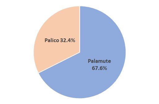 爱猫人士去哪了？《怪猎崛起》官方数据玩家选狗占比67%