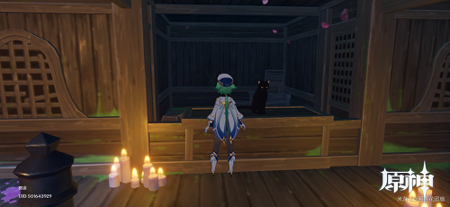 原神云中的猫成就怎么完成？