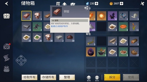 冰原守卫者储存系统介绍 冰原守卫者储存系统介绍