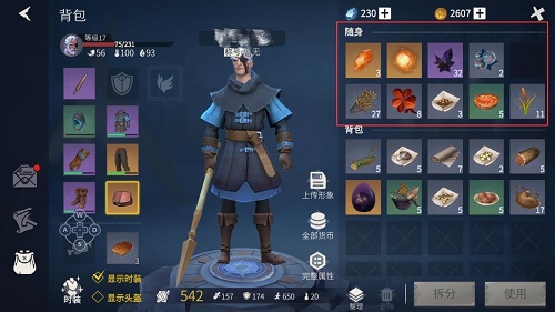 冰原守卫者储存系统介绍 冰原守卫者储存系统介绍