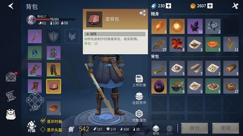 冰原守卫者储存系统介绍 冰原守卫者储存系统介绍