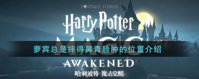 《哈利波特：魔法觉醒》萝宾总是摔得鼻青脸肿的位置介绍