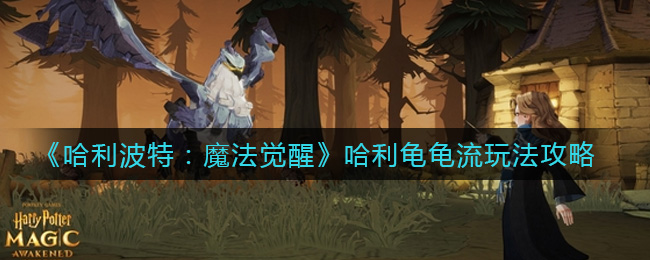 《哈利波特：魔法觉醒》哈利龟龟流玩法攻略