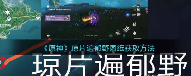 《原神》琼片遍郁野图纸获取方法 《原神》琼片遍郁野图纸获取方法