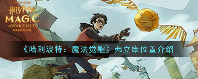 《哈利波特:魔法觉醒》弗立维位置介绍 《哈利波特:魔法觉醒》弗立维位置介绍