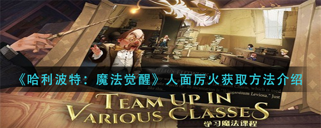 《哈利波特:魔法觉醒》人面厉火获取方法介绍 《哈利波特:魔法觉醒》人面厉火获取方法介绍