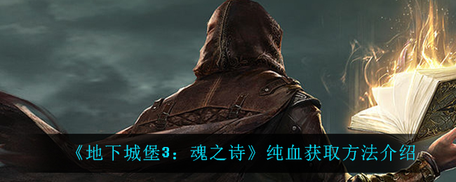 地下城堡3魂之诗纯血怎么得