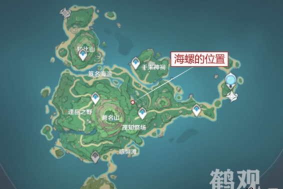 原神岻伽海螺在哪里