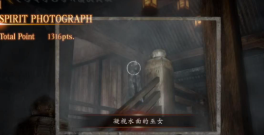 《零濡鸦之巫女》第十二章彼岸舟怎么通关