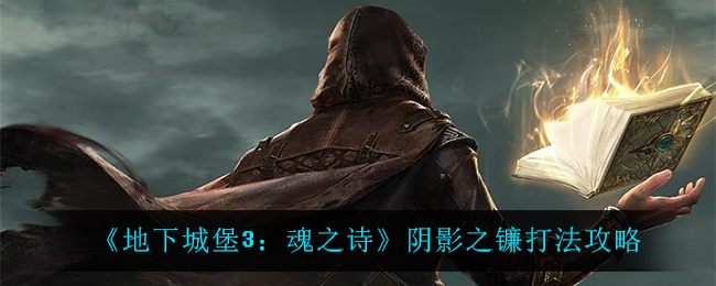 地下城堡3阴影之镰打法技巧分享