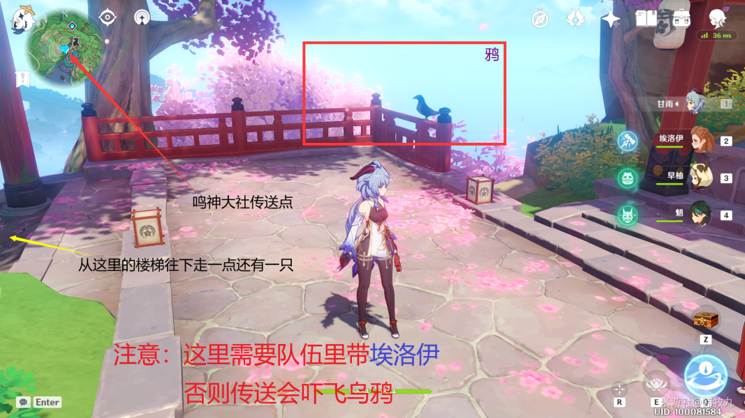 《原神》四方之网可捕捉小动物位置汇总一览
