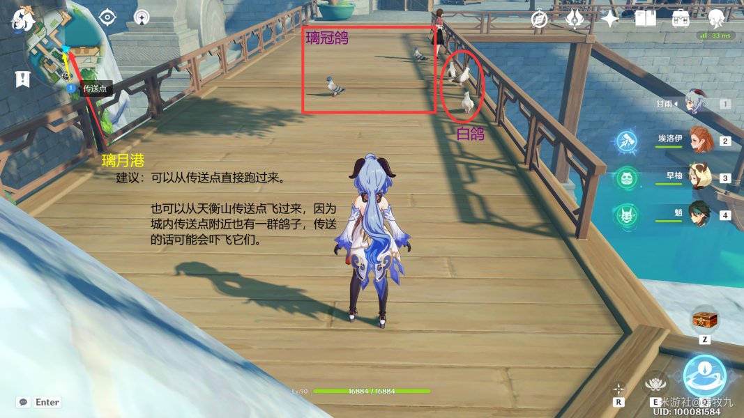 《原神》四方之网可捕捉小动物位置汇总一览