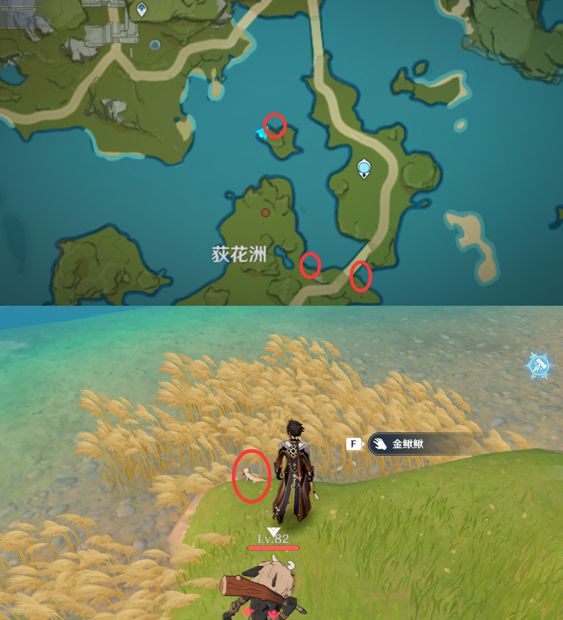 《原神》最全面的四方八方之网捕捉小动物图鉴位置大全