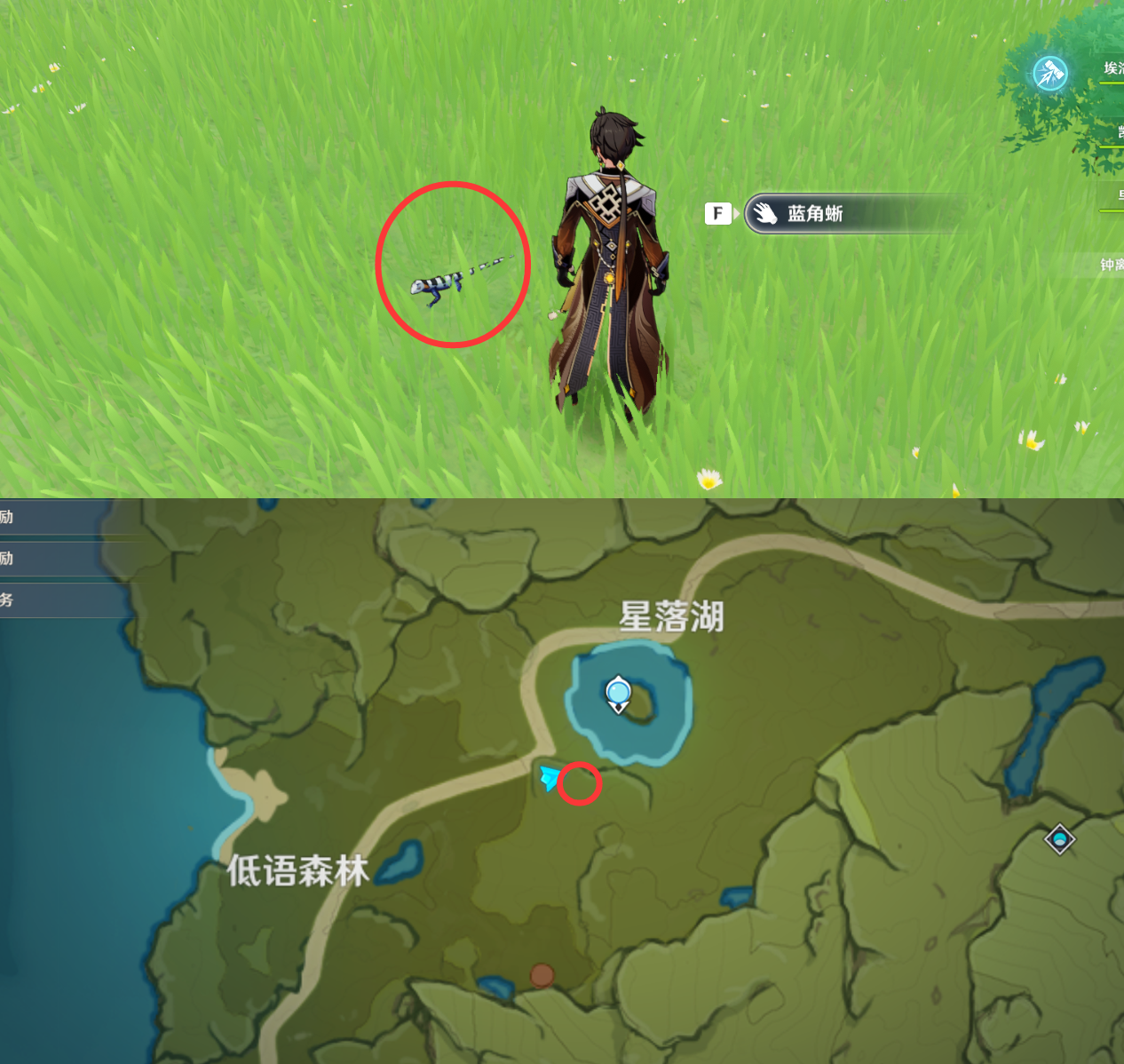 《原神》最全面的四方八方之网捕捉小动物图鉴位置大全