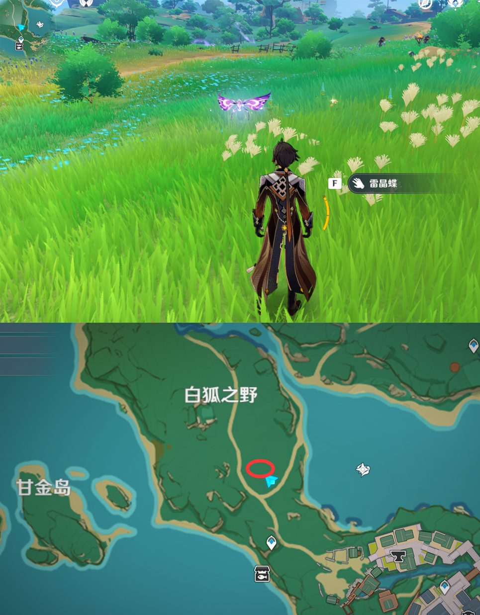 《原神》最全面的四方八方之网捕捉小动物图鉴位置大全